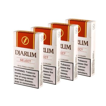 Djarum Select Filtered Cigars 4 Pack Special | 12 Filtered Clove Cigars Per Pack